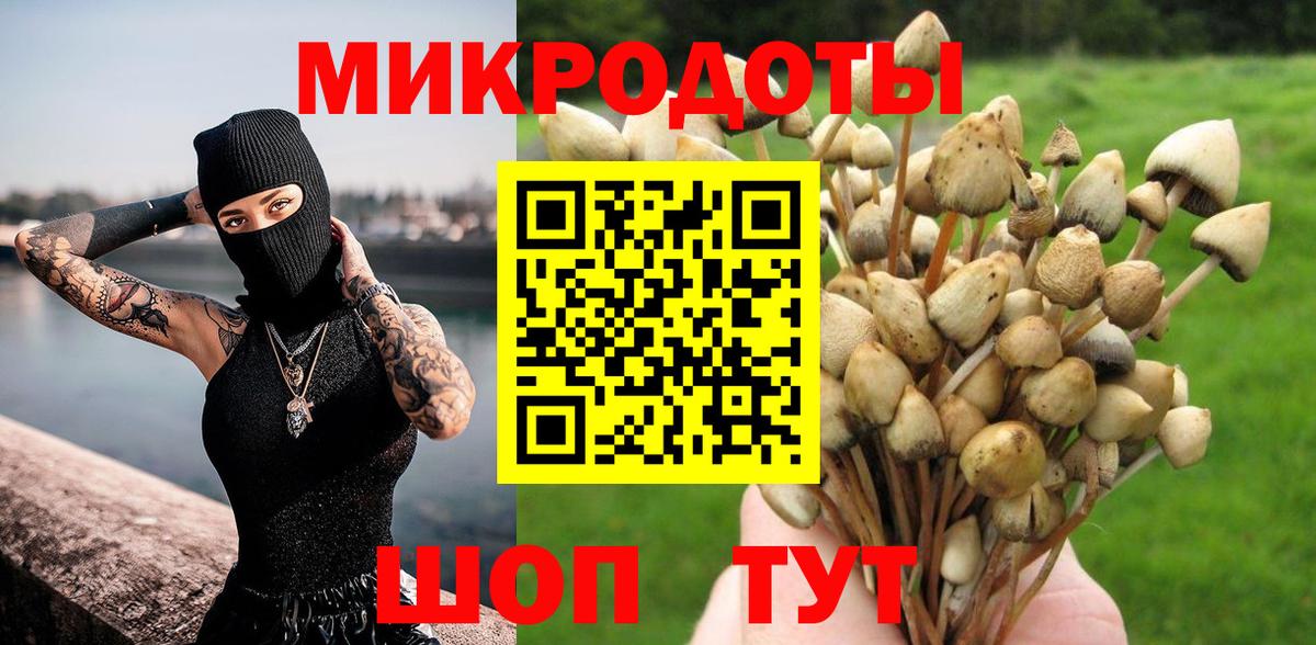 Псилоцибиновые грибы Psilocybe  Вход с VPN  продажа наркотиков  Отрадное 