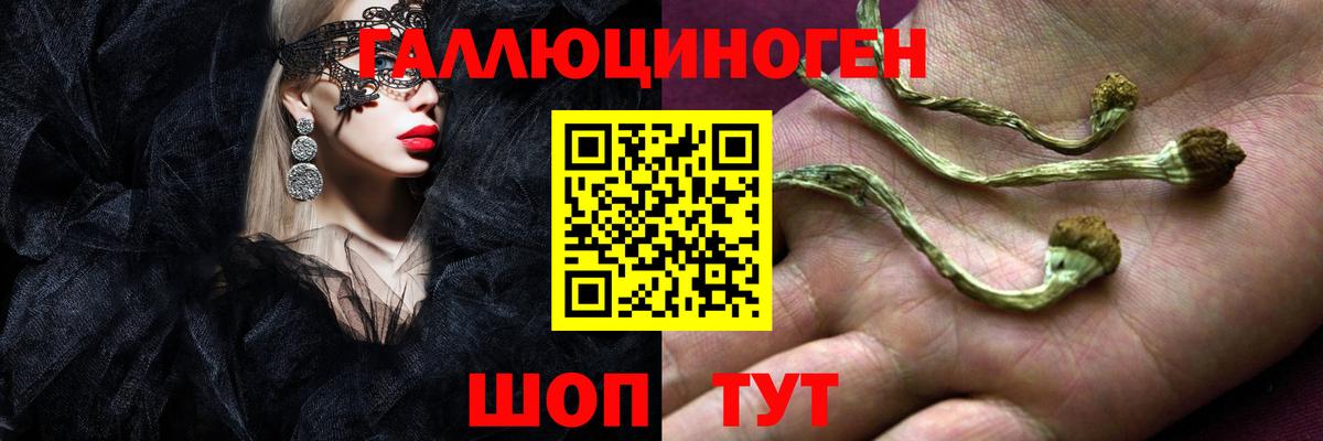 Псилоцибиновые грибы прущие грибы Отрадное
